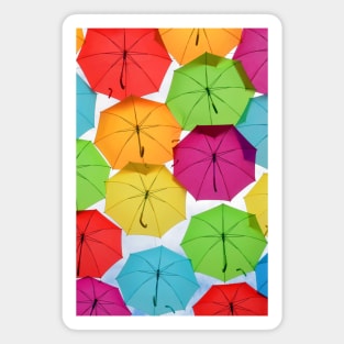 Bordeaux, Brollies. An umbrella canopy in France Magnet